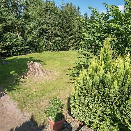 מלון Zur Schanze Holtgast-apen 2*